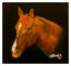 Animal Oil Painting from Jack Olson Fine Art