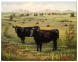 Animal Oil Painting from Jack Olson Fine Art